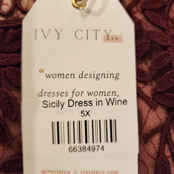 Elegant Wine Lace Dress - Picture 6 of 6